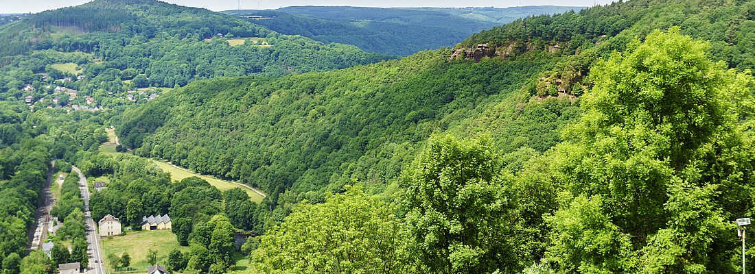 Bilder zu Kreuzau - Strauch Gebäudereinigung | Ihr Gebäudereinigungs-Profi